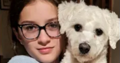 Waterford GAA club pays tribute as teen dies three months after freak accident