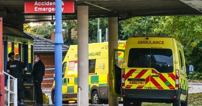 'The sky is falling' - Patients left waiting hours as ambulance pressures hit 'New Year's Eve levels' every day