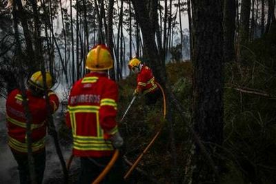 Wildfires wreak havoc across Europe amid deadly heatwave