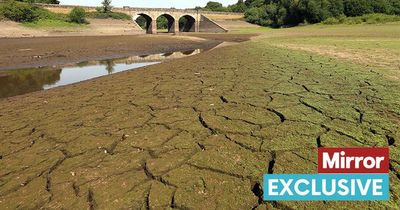 Water firms urge Brits to spend less time in the shower as reservoirs hit low point