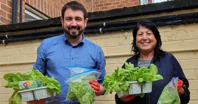 West Belfast foodbank creates new community garden for people to grow their own food