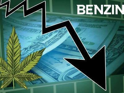 Medical Marijuana Sales In US Plunge As Recreational Biz Bounces Back, Analyst Opines On Ways To Build Market Resilience