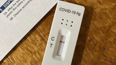 Doctors urge people with COVID symptoms to seek PCR tests as reports of false negatives from RATs rise