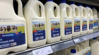 Coles raises milk price by 25 cents, further squeezing household budgets