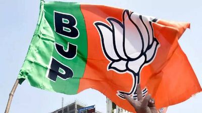 Maharashtra BJP sacks party functionary over video with woman
