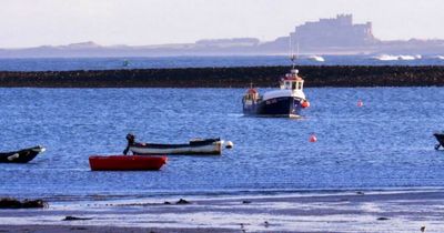 Two Northumberland coast sites shortlisted to become Highly Protected Marine Areas