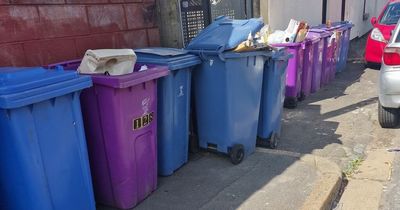 Street 'overrun with rats' as overflowing bins block pavement