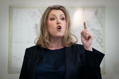 'I'd have grave reservations': Lord Frost launches scathing attack on Penny Mordaunt