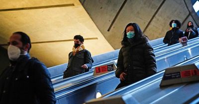 Can you go to work with Covid-19? Rules and advice on working with coronavirus