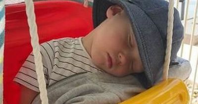Meet the tot who will fall asleep anywhere but his own cot - including in his wardrobe, on a shelf and even on his pet dog