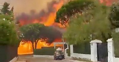 Portugal wildfires: Millionaire homes engulfed by flames as Alan Shearer films inferno