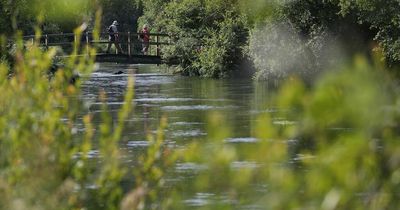 Bosses of water firms should face prison for pollution, Environment Agency says