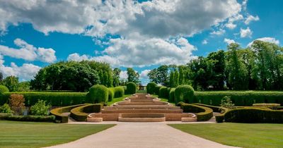 Free entry for children to visit the Alnwick Garden this summer - here's how
