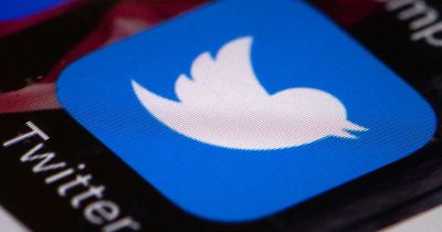 Twitter down: users report problems with social media platform