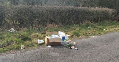 Woman fined after failing to comply with fly-tipping investigation in County Durham
