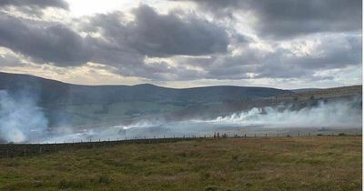 Wildfire in Moray spreads one mile as 50 fire fighters sent to tackle blaze