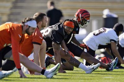 Bengals top five in Mike Clay’s latest unit grades