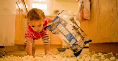 Five-second food rule is 'wrong' - how long you can actually leave it on the floor for