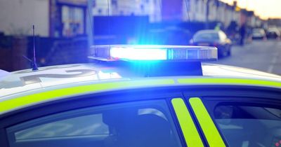 Police officers bitten by dog after they find owner high on ketamine behind wheel of a car