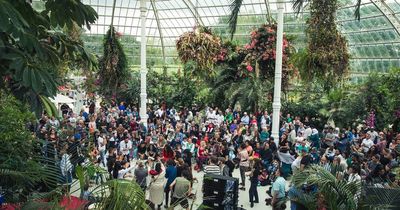 Liverpool Arab Arts Festival hosting huge family fun day at Sefton Park Palm House