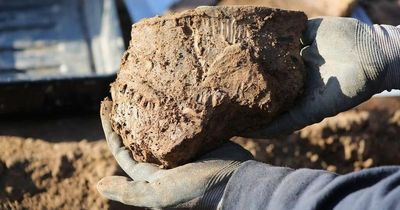 'Cardiff's earliest house' uncovered during archaeological dig