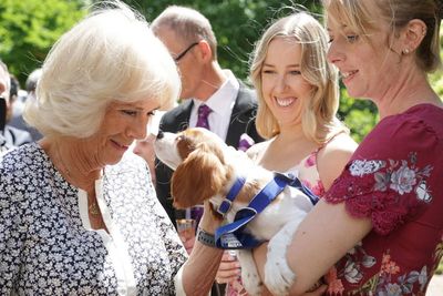 ‘Find a friend for life’ at Battersea Dogs and Cats Home urges Camilla