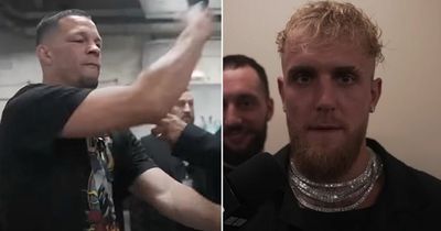 Jake Paul responds to Nate Diaz slapping reporter at UFC 276 with bodyguard offer