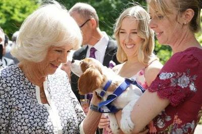Camilla urges people to visit Battersea Dogs and Cats home and ‘find a friend for life’
