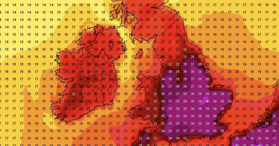 Met Eireann says seven counties could see dangerous heat in next four days as warnings issued