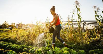 How to save water to reduce your bills and help the environment