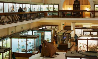 London’s Horniman crowned Art Fund museum of the year
