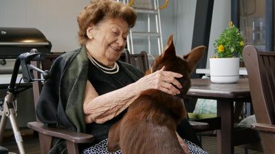 Muster Dogs stars Frank Finger, Annie and Lucifer visit Clermont aged care home