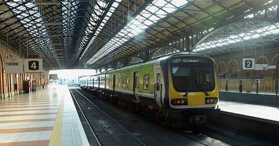 Irish woman with 'potty mouth' slammed by American tourists who refused to move from train seat and 'insulted' her name