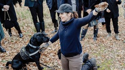 Wet and cold conditions see truffle farmers' yields grow 66 per cent across New South Wales