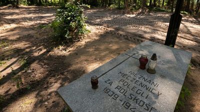 Ashes of at least 8,000 people murdered by Nazis found in Bialuty Forest north of Poland's capital Warsaw