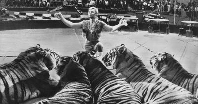 Newcastle man's time in the circus, amid tales of tigers and the KGB