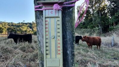 Frosty conditions persist across Queensland but warmer weather is coming
