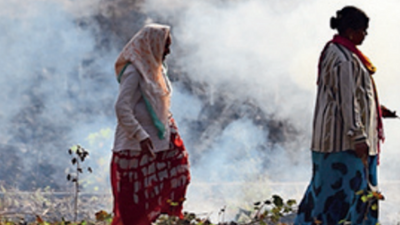 Fighting farm fire with fire in Delhi: A five-year plan