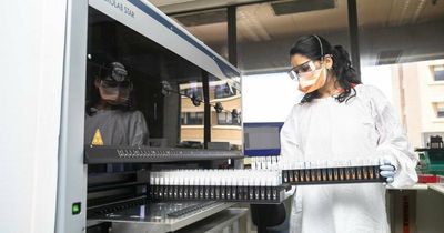 New COVID cases stay stubbornly above 1000 a day