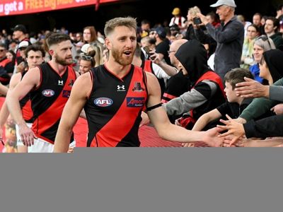 McGrath, Hurley boost Bombers in AFL