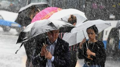 Sydney smashes July rainfall record dating back to 1858, and on track to break annual record