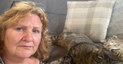 Widow's heartbreak as cat 'tied up and shot' at Leeds canal