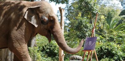 Was Tricia the elephant happy? Experts on the ethics of keeping such big, roaming creatures in captivity