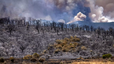 Morocco Firefighters Battle Infernos as Villagers Flee