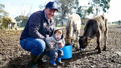 Coles and Woolworths increase price of milk and happy farmers say they brought it upon themselves