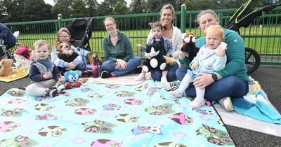 Bears set to enjoy a picnic in Lanarkshire as popular event returns