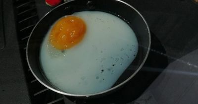 So hot woman cooks fried egg on dashboard of her car