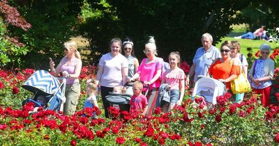 Rose Week festival at Lady Dixon Park will not go ahead this summer
