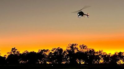 Frost-fighting choppers used for the first time on Hughenden grape farm