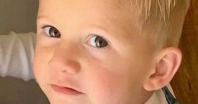 Boy, 3, suffers 'lead poisoning' after eating mud in garden as mum desperate to move